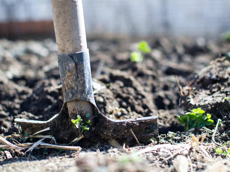 Site Clearance by Smart Call Contractors